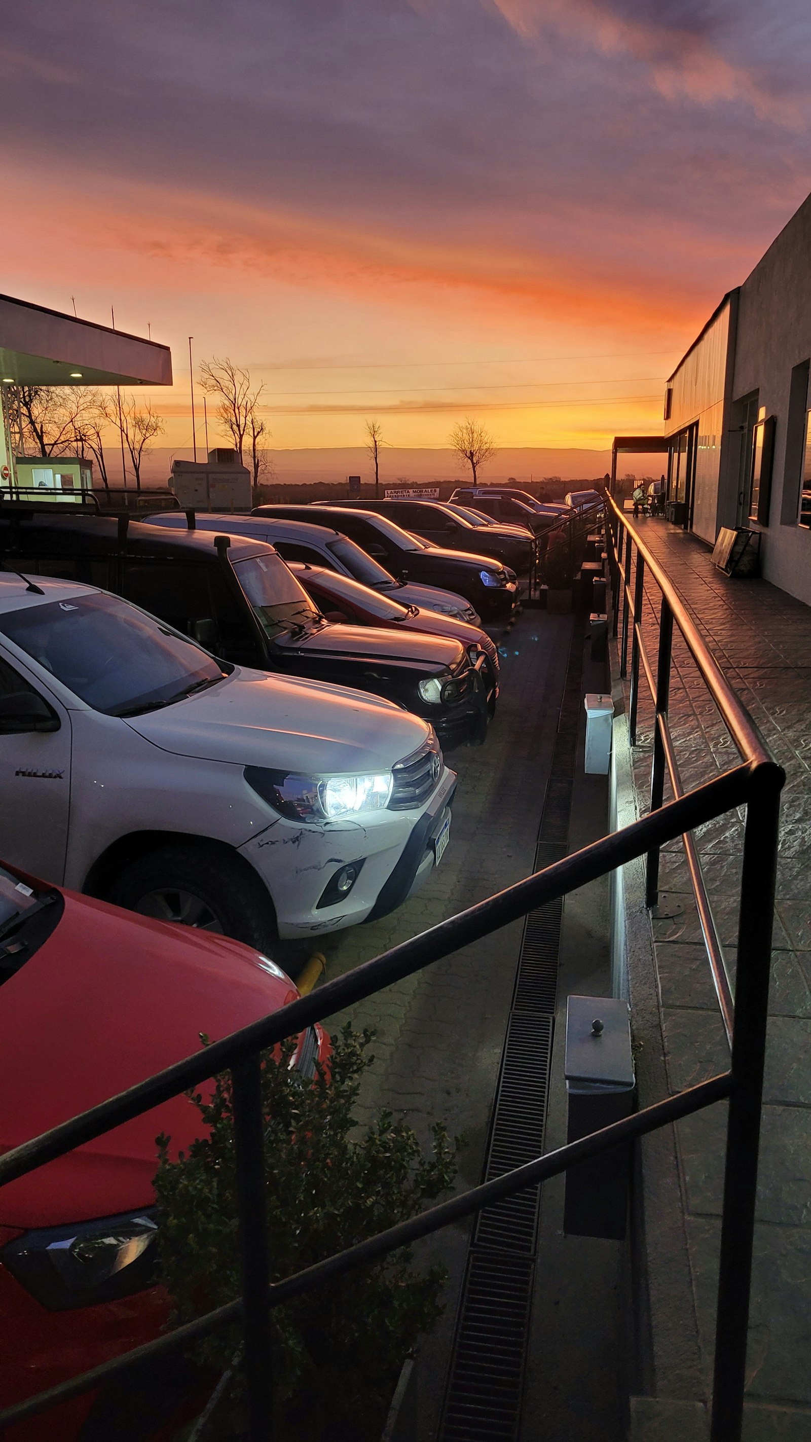 Rows of parked cars on a dealership lot in the evening with no customers in sight.